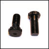 Flywheel bolt